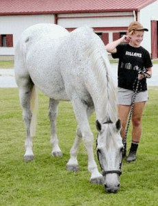 Catie and Jonson take a break at the show in Williamston.