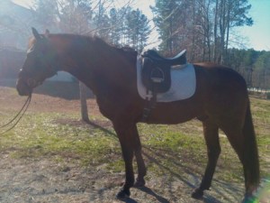 Baltic Valentine, aka "Cupid"