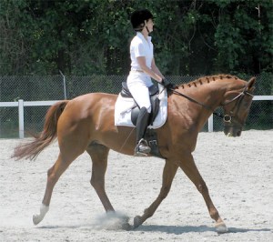 Melissa Johnson and Salsa